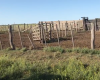 Puan, Buenos Aires, ,Campo,Venta,1090