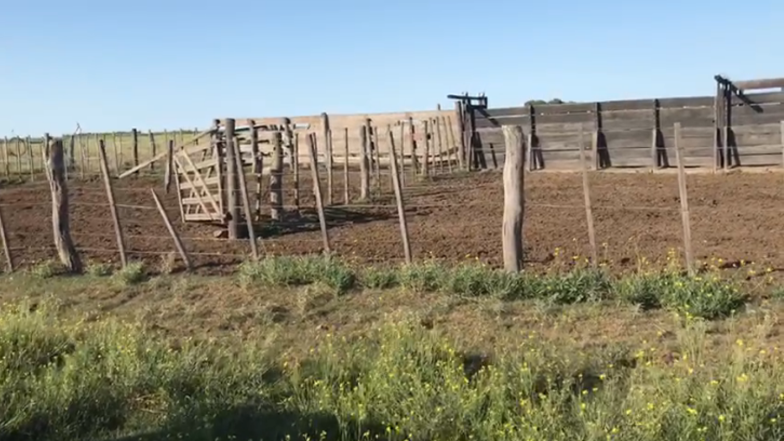 Puan, Buenos Aires, ,Campo,Venta,1090