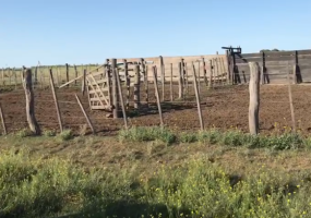 Puan, Buenos Aires, ,Campo,Venta,1090