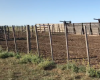 Puan, Buenos Aires, ,Campo,Venta,1090