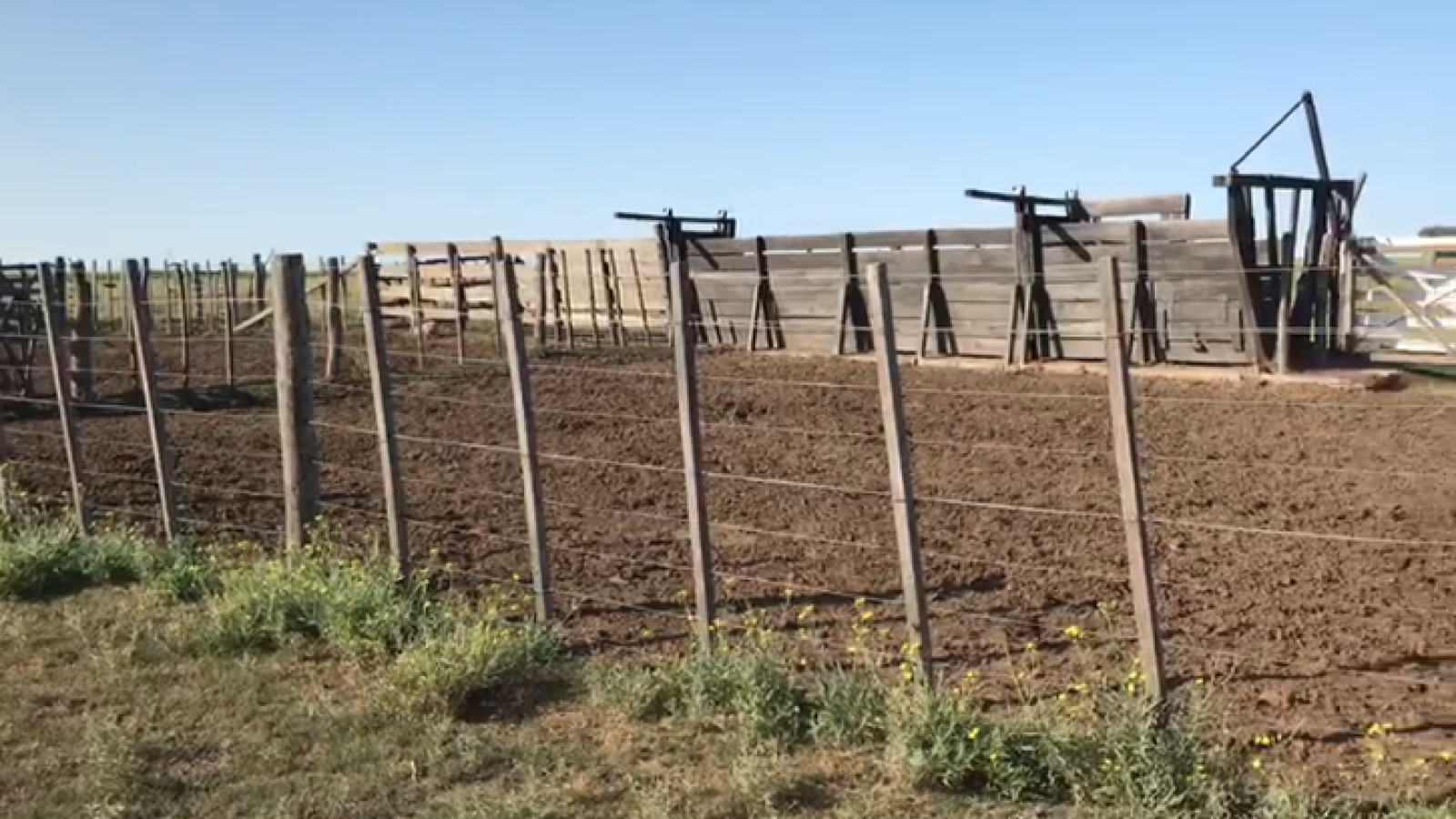 Puan, Buenos Aires, ,Campo,Venta,1090