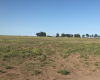 Puan, Buenos Aires, ,Campo,Venta,1090
