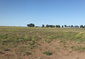Puan, Buenos Aires, ,Campo,Venta,1090