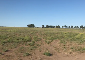 Buenos Aires, ,Campo,Venta,1090