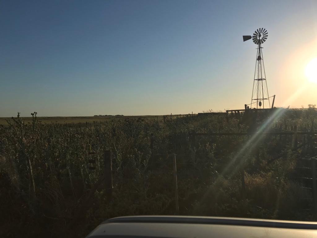 Buenos Aires, ,Campo,Venta,1091