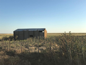 San Roman, Buenos Aires, ,Campo,Venta,1091