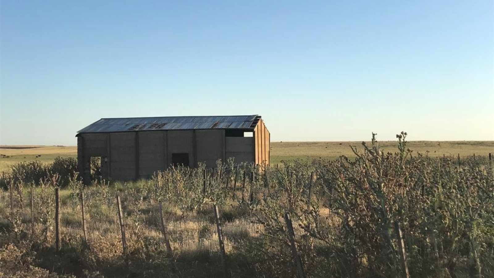 San Roman, Buenos Aires, ,Campo,Venta,1091