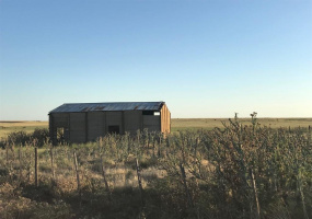 San Roman, Buenos Aires, ,Campo,Venta,1091