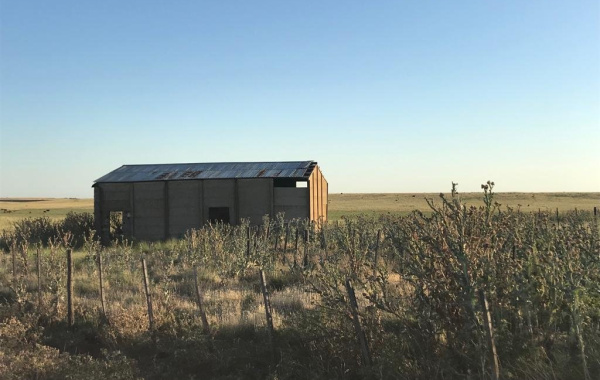 San Roman, Buenos Aires, ,Campo,Venta,1091