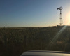 San Roman, Buenos Aires, ,Campo,Venta,1091