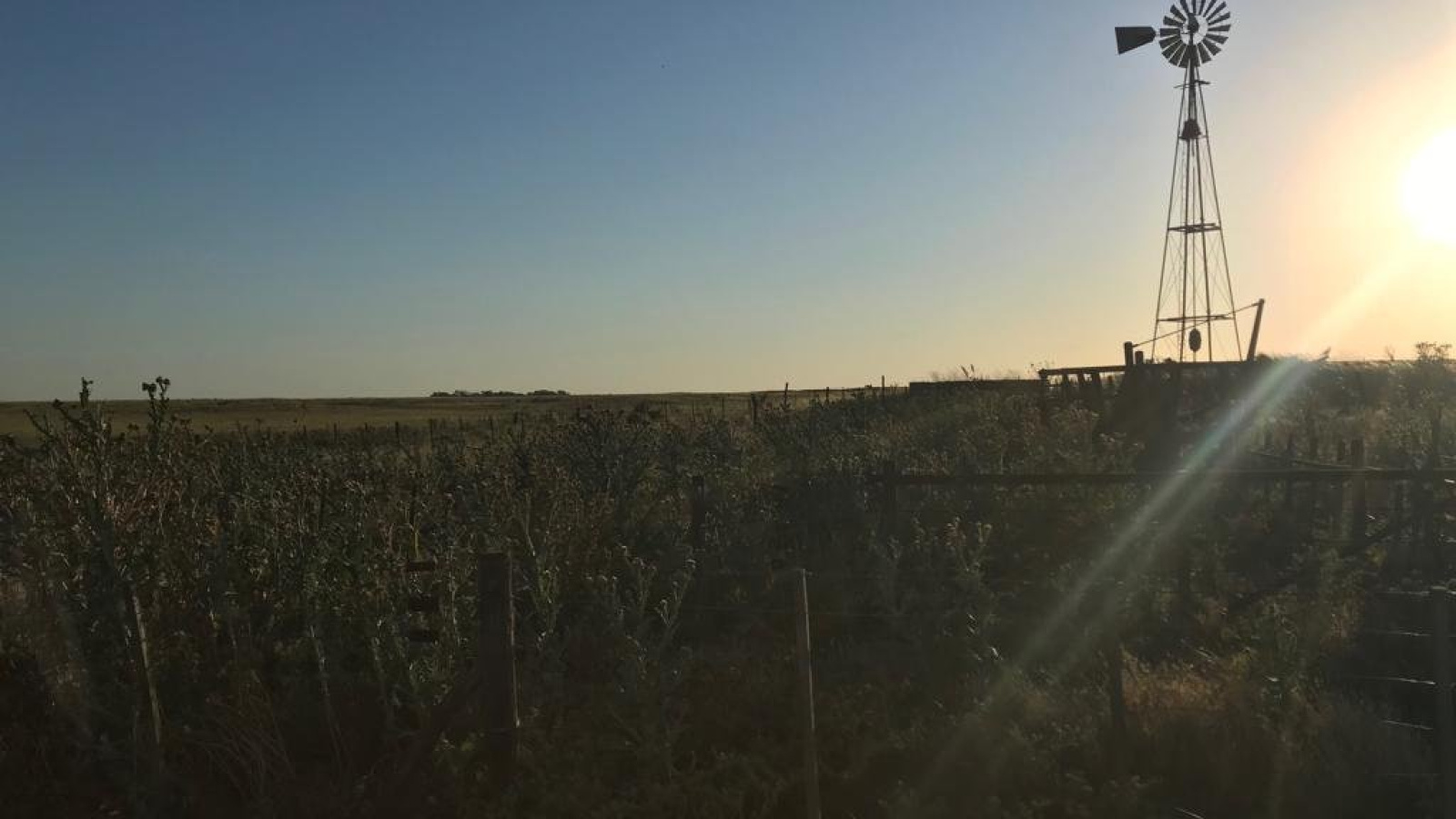 San Roman, Buenos Aires, ,Campo,Venta,1091