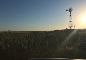 San Roman, Buenos Aires, ,Campo,Venta,1091