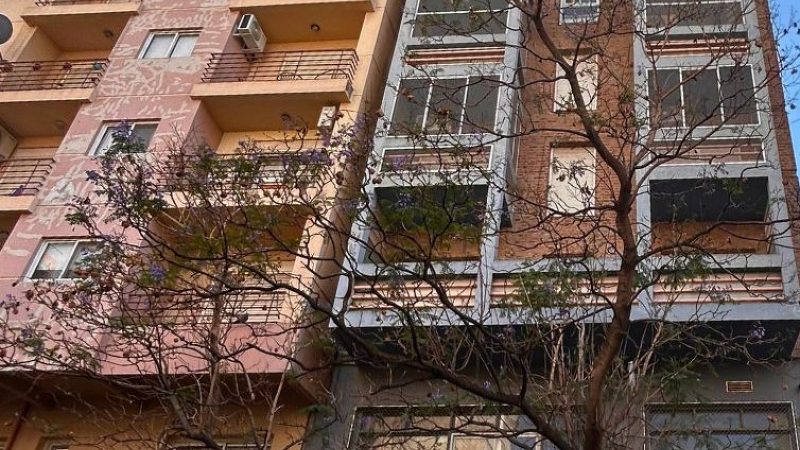 148 Saavedra, Bahia Blanca, Buenos Aires, 8000, 0 , 1 Room Rooms,1 BathroomBathrooms,Departamento,Alquiler,Saavedra,6,1960