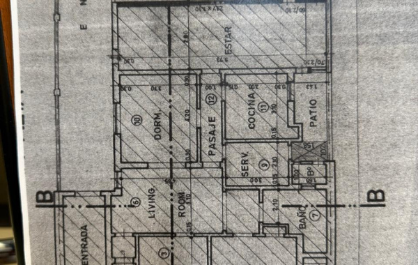 64 Fitz Roy, Bahia Blanca, Buenos Aires, 8000, 4 Bedrooms Bedrooms, 5 Rooms Rooms,2 BathroomsBathrooms,Casa,Venta,Fitz Roy,0,1967 64 Fitz Roy, Bahia Blanca, Buenos Aires, 8000, 4 Bedrooms Bedrooms, 5 Rooms Rooms,2 BathroomsBathrooms,Casa,Venta,Fitz Roy,0,1967