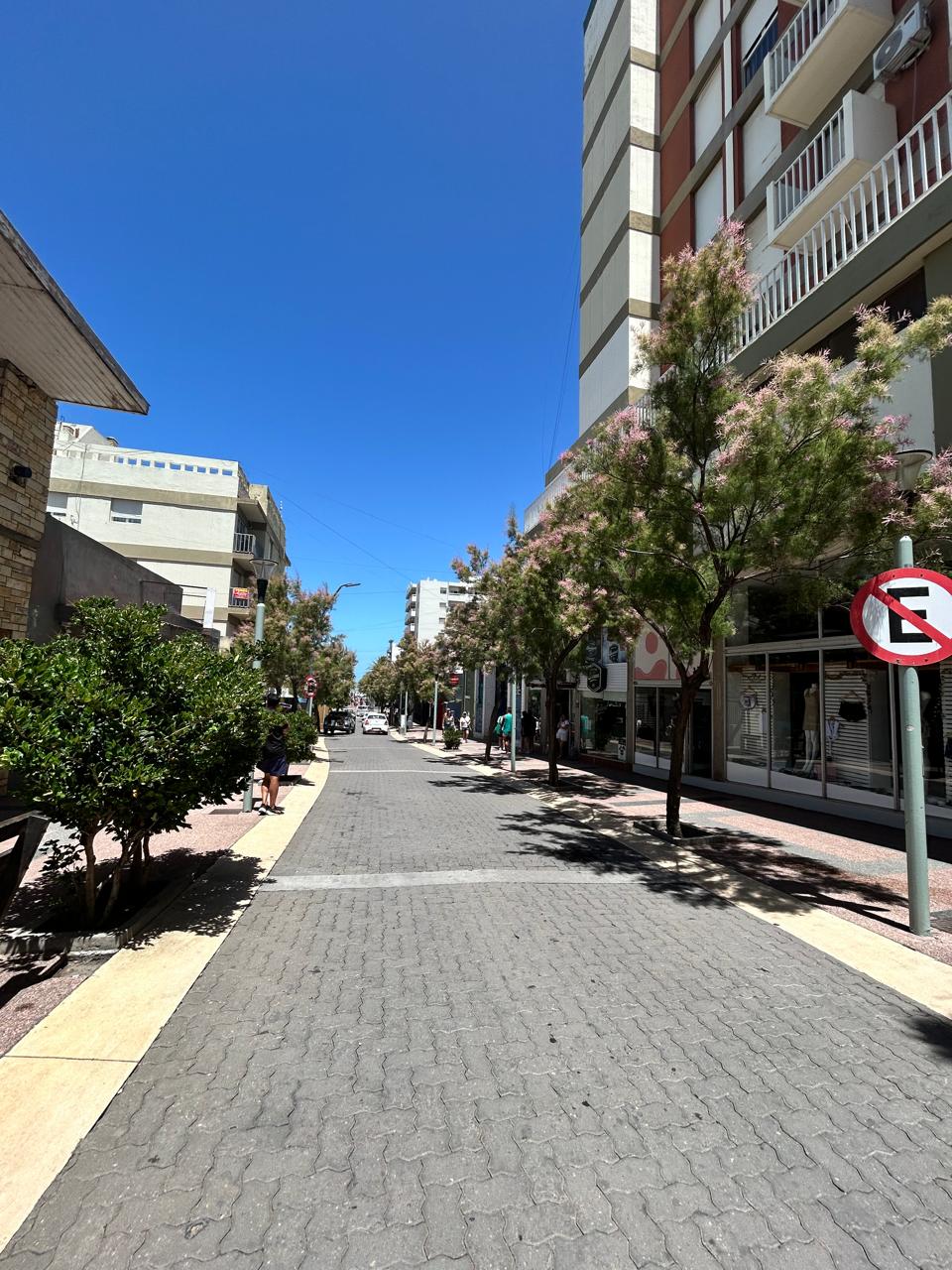 284 Dufaur, Monte Hermoso, Buenos Aires, 8105, 1 Bedroom Bedrooms, 2 Rooms Rooms,1 BathroomBathrooms,Departamento,Venta,Dufaur,0,1971