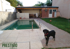 334 9 de Julio, Bahía Blanca, Buenos Aires, 8000, 5 Bedrooms Bedrooms, 0 ,5 BathroomsBathrooms,Casa,Venta,9 de Julio,0,1974