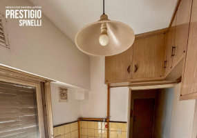 94 Thompson, Bahia Blanca, Buenos Aires, 8000, 2 Bedrooms Bedrooms, 3 Rooms Rooms,1 BathroomBathrooms,Departamento,Alquiler,Thompson,8,1975