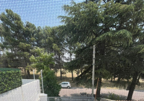 1265 León de Iraeta, Bahía Blanca, Buenos Aires, 8000, 2 Bedrooms Bedrooms, 0 ,1 BathroomBathrooms,Casa,Venta,León de Iraeta ,0,1976