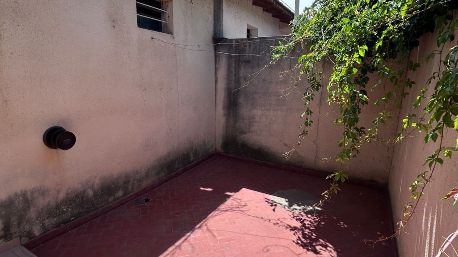 1075 Mitre, Bahia Blanca, Buenos Aires, 1 Bedroom Bedrooms, 2 Rooms Rooms,1 BathroomBathrooms,Departamento,Alquiler,Mitre,0,1978