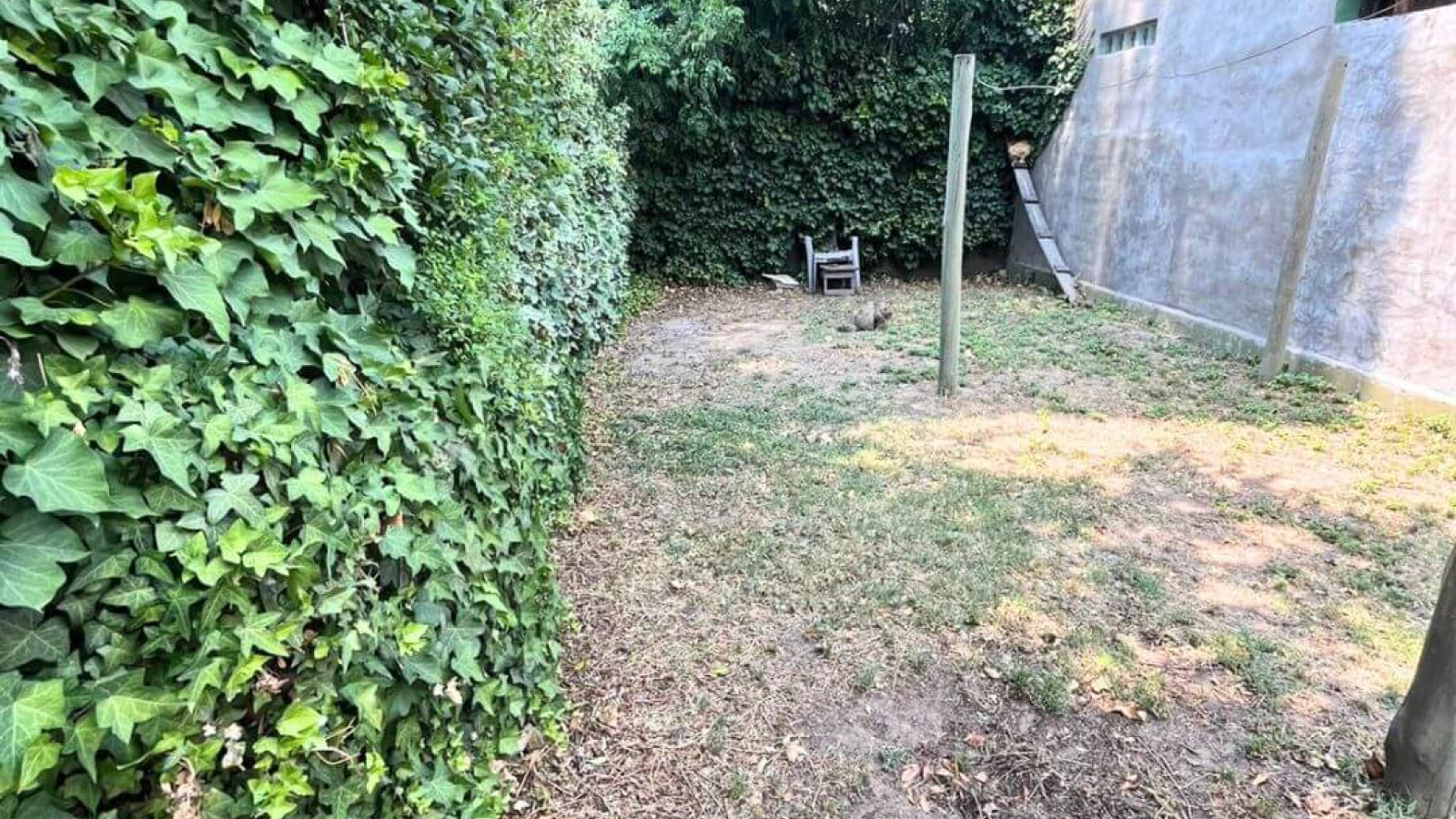 1265 León de Iraeta, Bahía Blanca, Buenos Aires, 8000, 0 , 0 ,0,Duplex,Venta,León de Iraeta ,0,1984