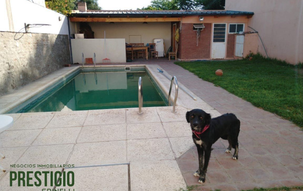 334 9 de Julio, Bahia Blanca, Buenos Aires, 8000, 5 Bedrooms Bedrooms, 0 ,5 BathroomsBathrooms,Casa,Venta,9 de Julio,0,1986